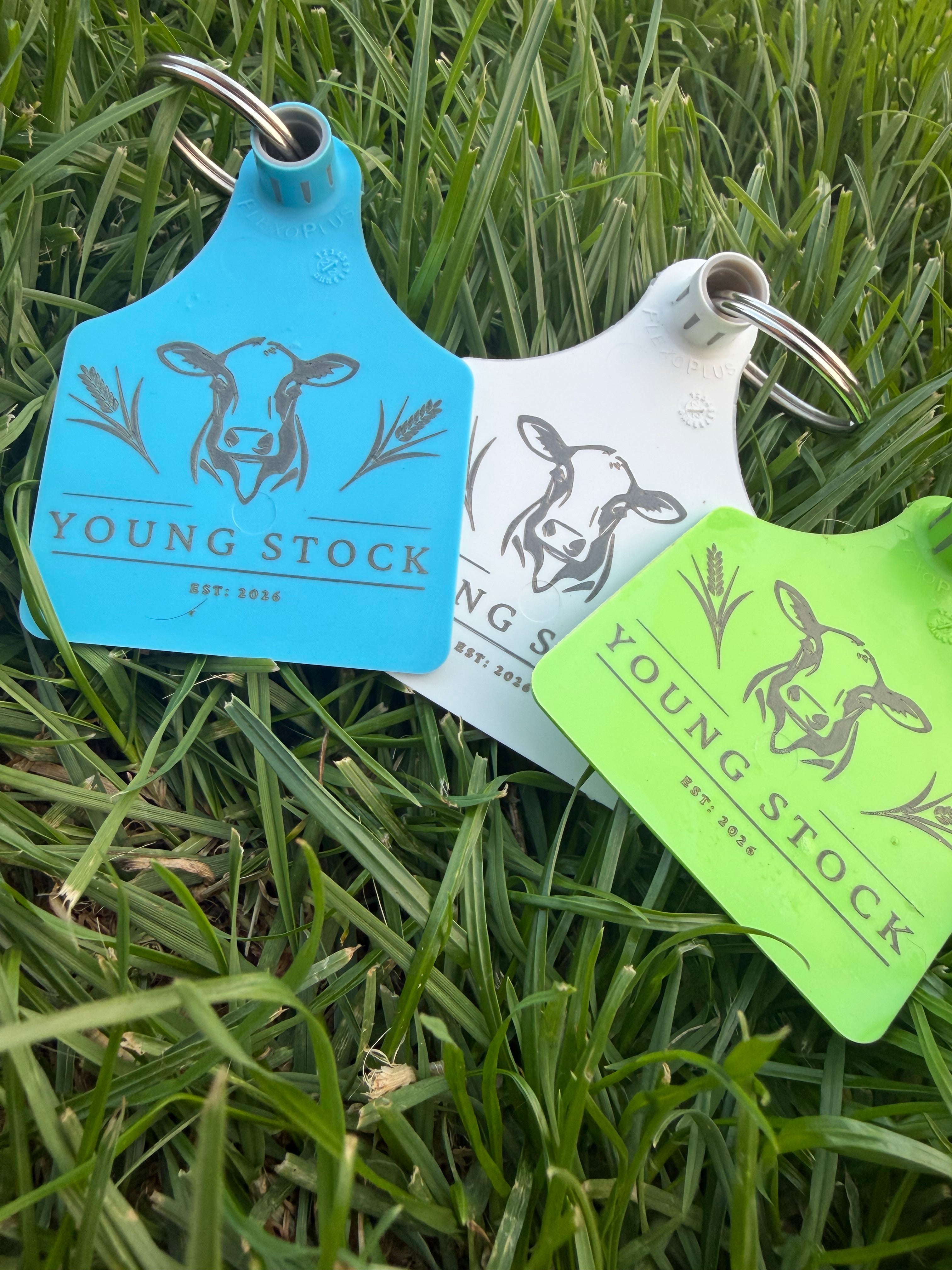 Cow Ear Tag Keyring