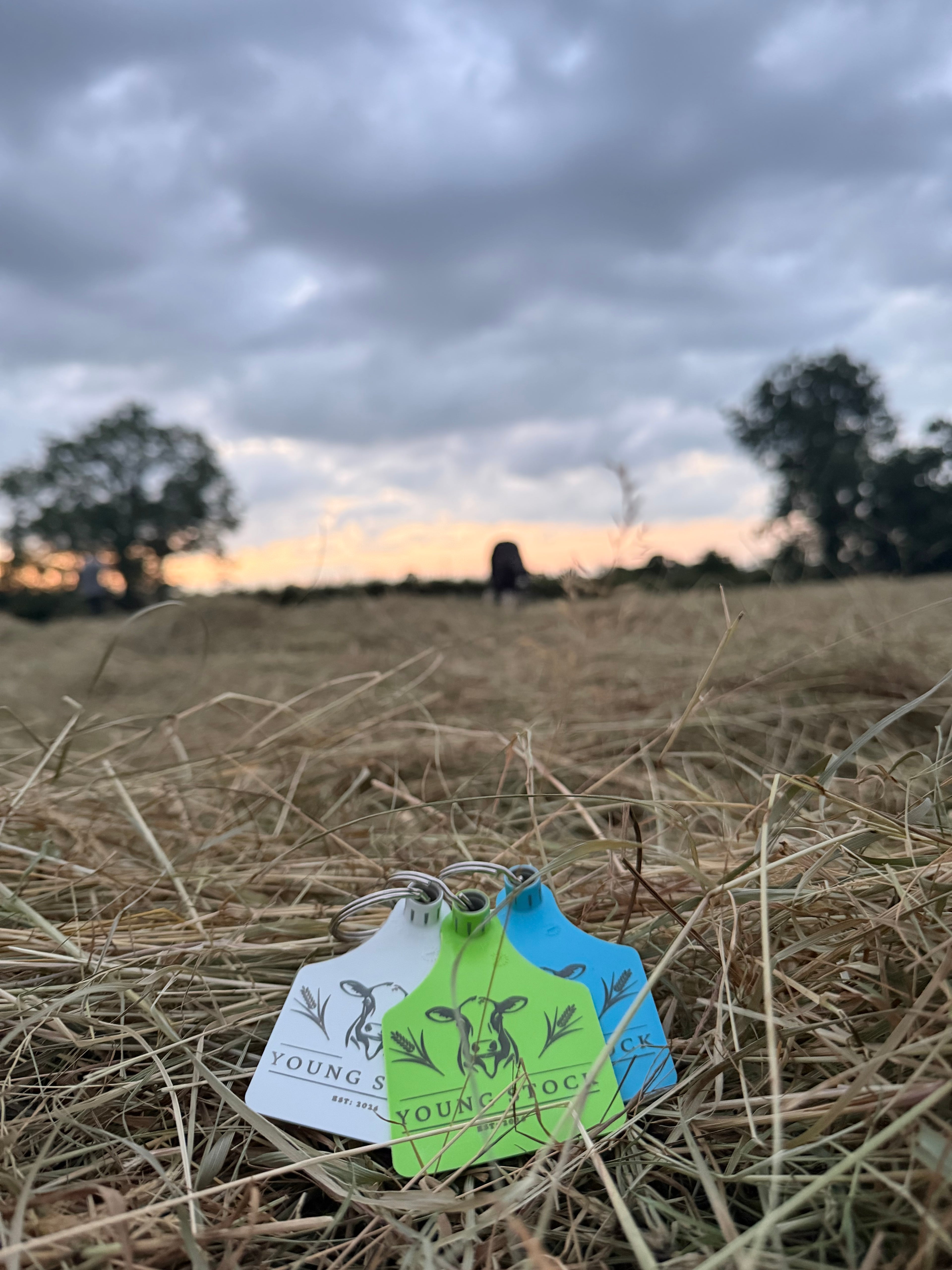 Cow Ear Tag Keyring