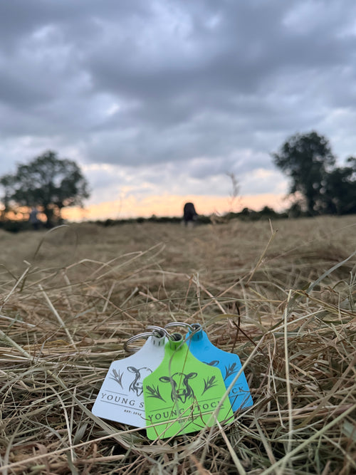 Cow Ear Tag Keyring